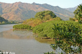 Nam Chung DSC_1505