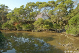 Nam Chung River DSC_1502