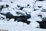 Snow Scene (DSC_9485)