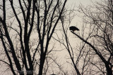 2009_02_07_4788_800.jpg