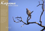 Kampama Lodge South Africa Kruger