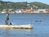 The dolphins and fisherman cooperate in the bay