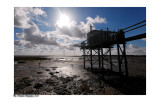 Meschers-sur-Gironde 2