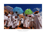 Madagascar - The Red Island 58