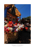 Madagascar - The Red Island 106