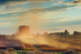 Harvesting Wheat 17788