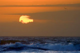 Gulf Sunrise 43297