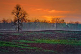 Rural Sunrise 20090509