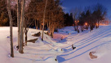 Park In First Light 11535-6
