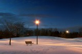 Park Snowscape 11541