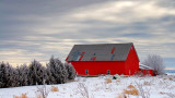 Red Barn In Winter 52596