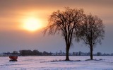 Two Trees At Sunrise 13535