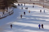 Winterlude 2010 Rideau Canal (13845)