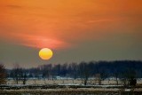 Rural Sunrise 20100312