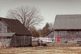 Barn With Red Door 15114mono