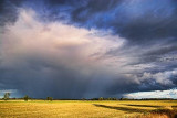 Passing Thunderhead 16432