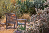 Cactus Garden Bench 72984