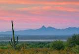 Arizona Sunrise 20071121