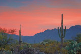 Arizona Sunrise 20071127