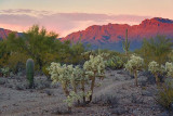 Desert Sunset 20071205