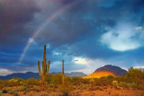 Desert Rainbow 76477