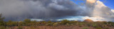 Desert Storm Panorama 76748-54