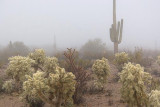 Desert Fog 76919