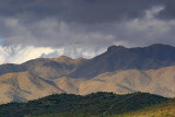 Tucson Mountains 75452