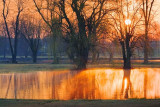 Sunrise At The Pond 87701