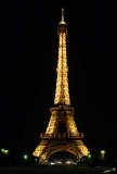 17515 - Eiffel Tower / Paris - France