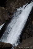 DSC_6199.jpg