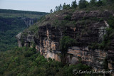 DSC_4385.jpg