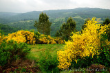 DSC_2057 copy.jpg