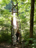 Suspension Bridge Trail