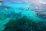 Reef - 30 Snorklers Paradise.JPG
