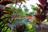 Kuranda - 120 Hotel swimming pool IMGP8234.JPG