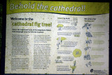 Tablelands - 75 Cathederal Fig Tree sign IMGP8063.JPG