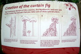 Tablelands - 85 Curtain Fig Tree sign IMGP8111.JPG