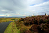 What is really at the end of a Rainbow...Sheep