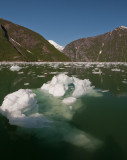 tracy arm-2121 800.jpg