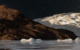 Spot light on the glacier 800-3123.jpg