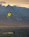 Surf kite at EB 800-4418.jpg