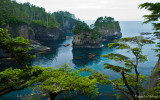 Cape Flattery II