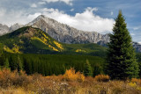 Autumn in Bow Valley