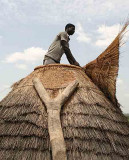 On the roof. Granary.