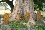 Snake worship near Kanchipuram. http://www.blurb.com/books/3782738