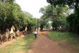 Hundreds of terracotta horses and elephants in Namana Samudram. http://www.blurb.com/books/3782738