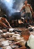 The sacrificed goats prepared to be taken home, Dakshinkali, Nepal.