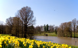 Spring!