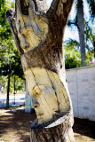 Tree Sculpture 02